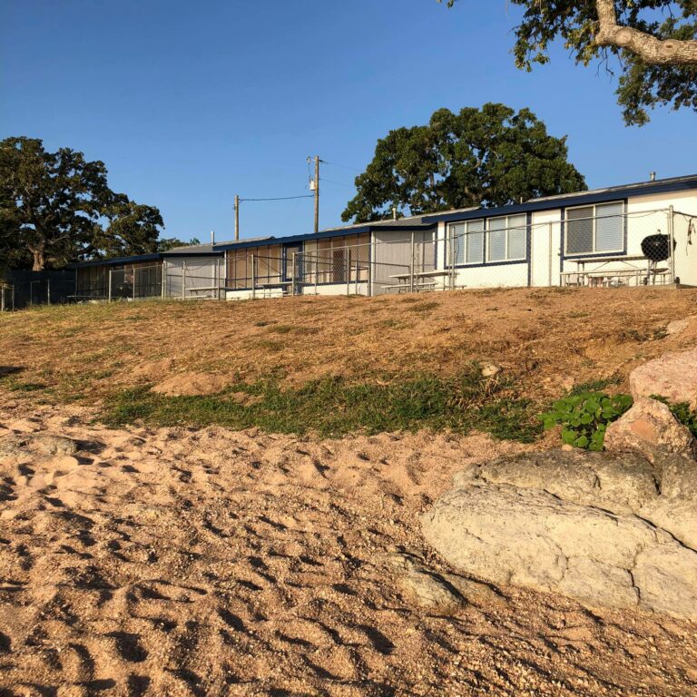 118375549 2014332422030209 7926690959974090633 n 768x768