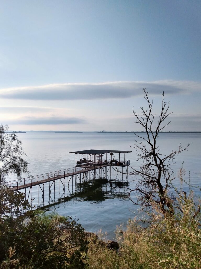 121661855 3621494237875326 581244091991481569 n 768x1028