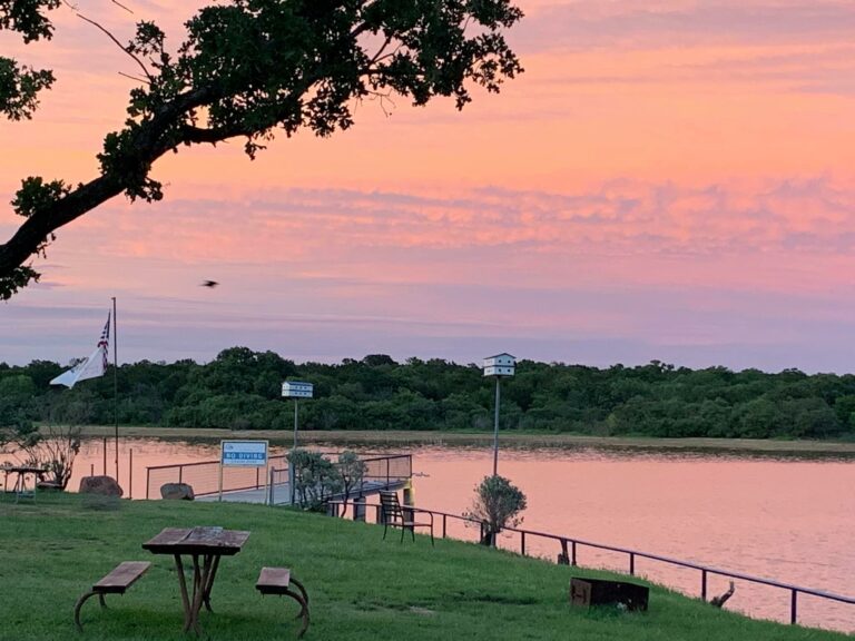 195492671 2278018772328238 6402130087296709368 n 768x576