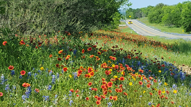 20160415 164232 768x432