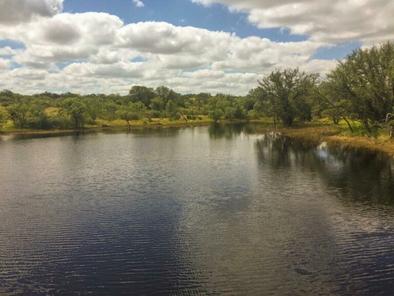 2070173 1506051043242185 p orig 768x576