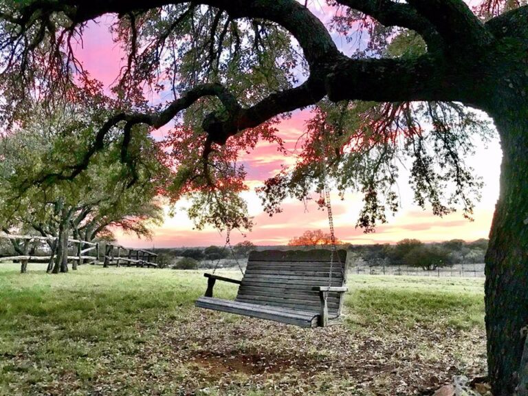 29598007 2215253048485691 3499388368185516051 n 768x576