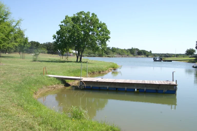 319e7a6e.f10 768x511