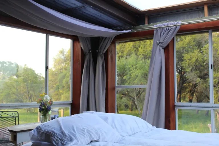 56695bf6 61e8 4ab7 b425 295568190e0a 768x512