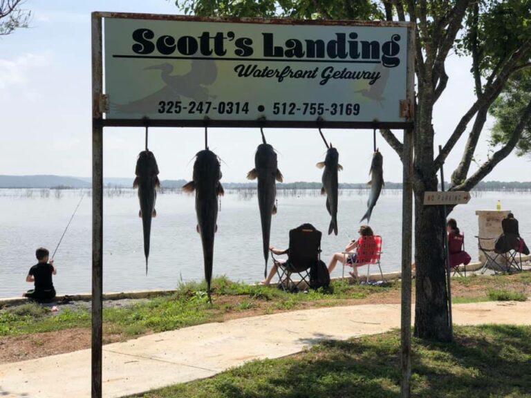 60358659 353514365300468 5186775799990059008 n 768x576