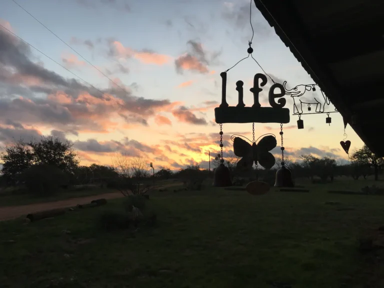 6e7e63e0 725e 491a 8414 bf4bff1b76a6 768x576