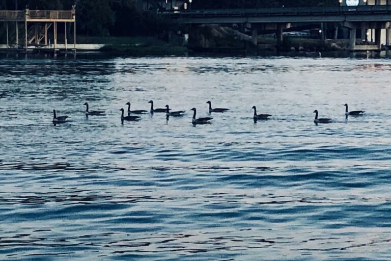 778300 19770461 768x512