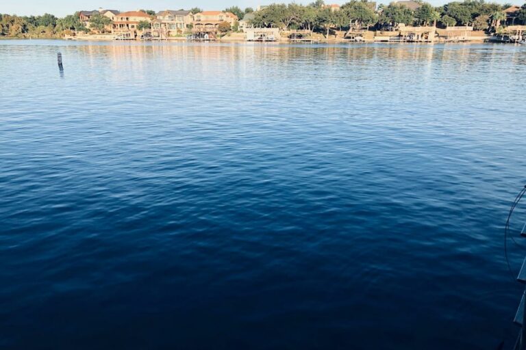 778300 19770462 768x512