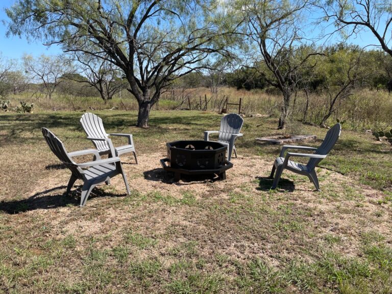 9bfd6005431be33e23c559007827101f 768x576