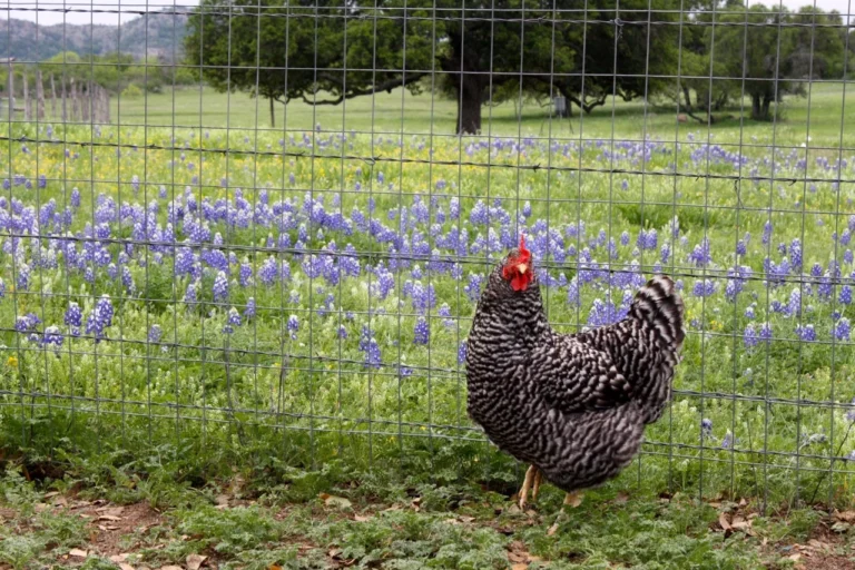 a4fbec f3b42fc88e344cddb727ab2384a4cb40 768x512