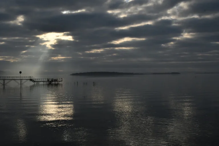 b9b3ec4d 35ed 4e77 83da 6c4fd6926199 768x512