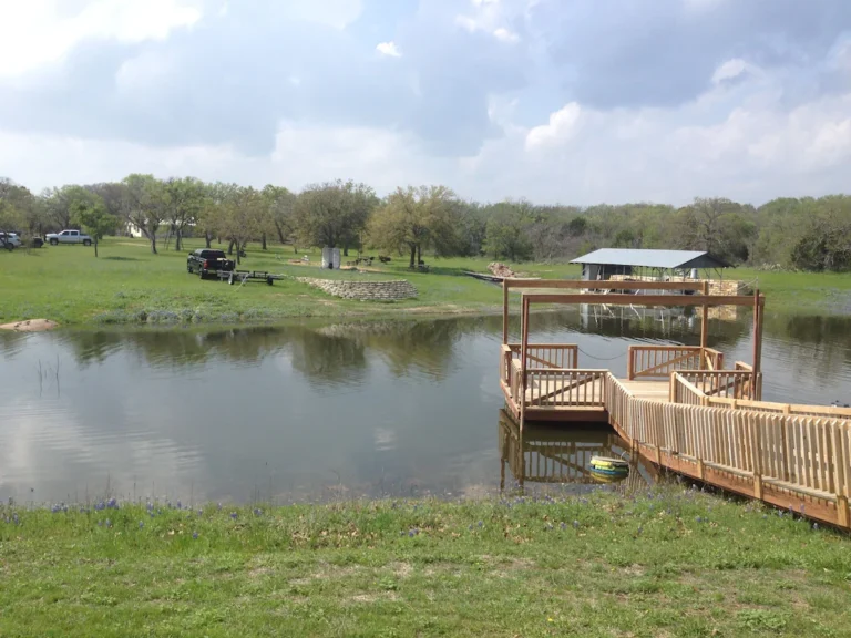 c804d803.f10 768x576