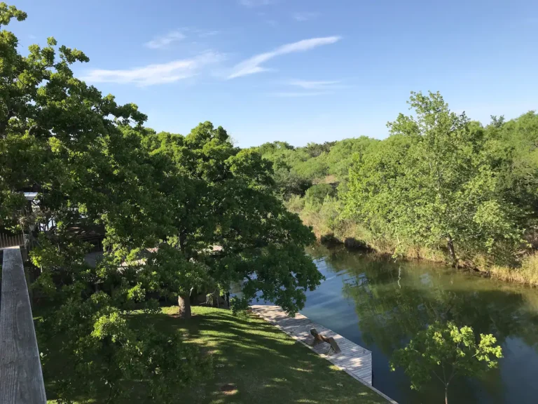 ca6cbcf2 bca9 41d1 b6d9 cd3b9d8aaf5b 768x576