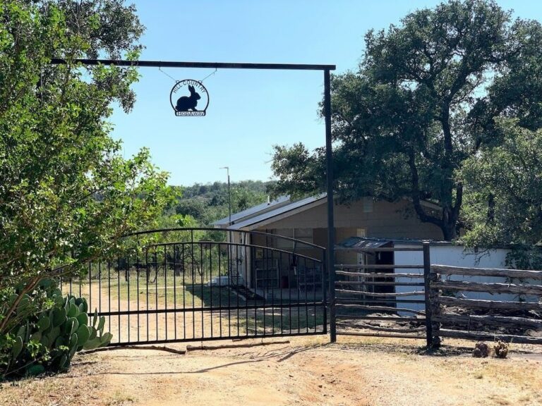 f7d6a13e7c8ddf85a06d561fabf1d2bb 768x576