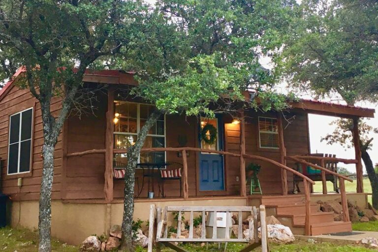 img 4332 800x533 768x512