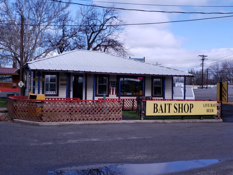 baitshop 768x576