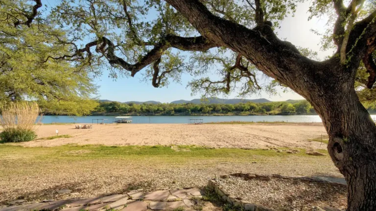 c7fc1002 cb02 4b37 8c45 0624381a395f 768x432