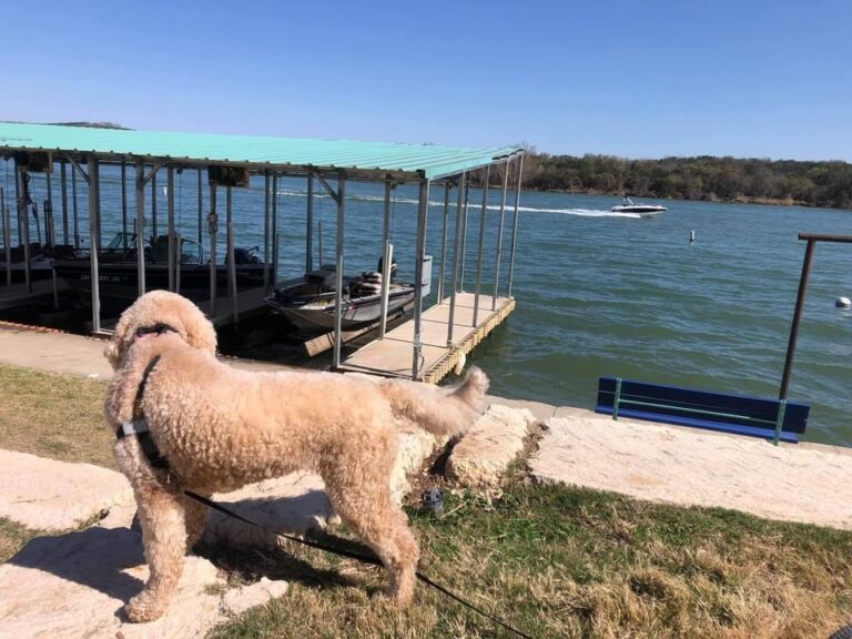 E30A040F 17BA 4C3C 9F1C 91A22A33299C 1 768x576