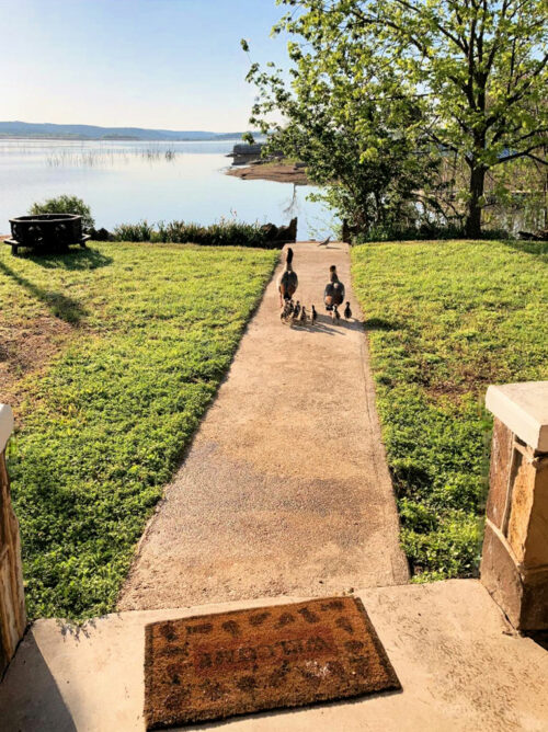 Cottonwood Cove Resort, a fishing destination for decades Visit Llano