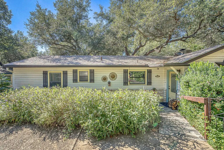 207 Red Bird front 2 768x513