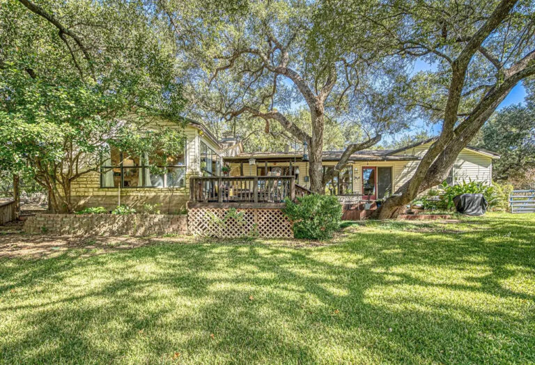 207 red bird back of house 768x524