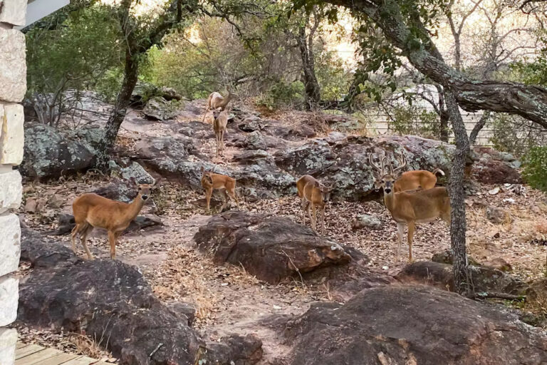 Granite Peak Vista 6 768x512