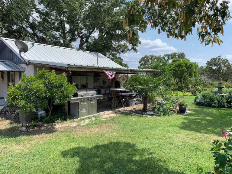 Hummingbird 3 768x576