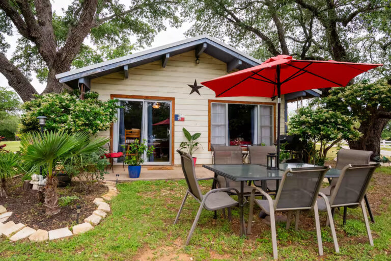 Hummingbird 4 768x512