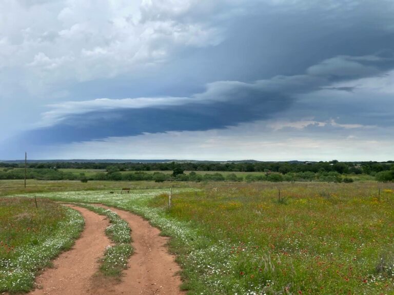 3d1b4324 e960 48b2 a030 e7de684c9048 768x576