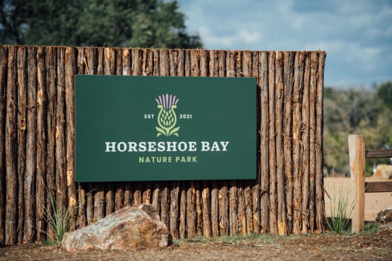 HSBNP 2 768x512