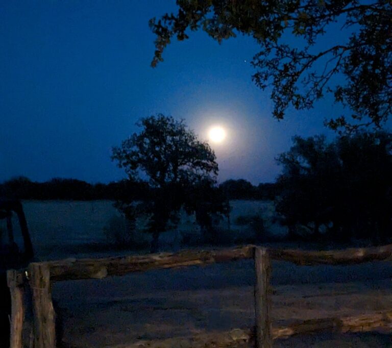 Night Sky 1 768x682