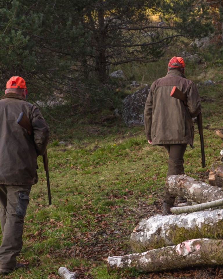 hunting 768x960