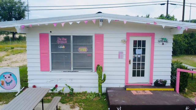 pinkopossum